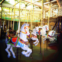 White Horses