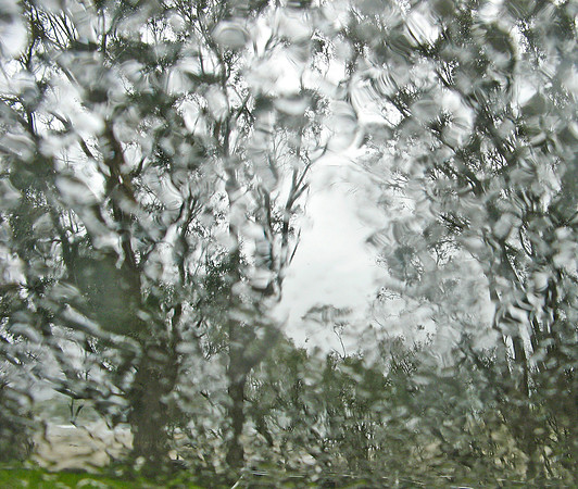 Winter Storm