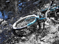 Abandoned Bike