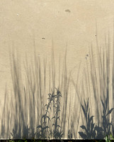 Shadowscape 1