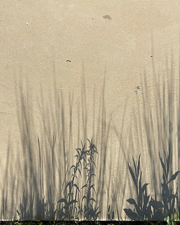 Shadowscape 1