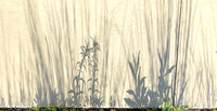 Shadowscape 5