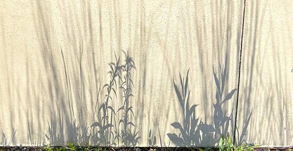 Shadowscape 5