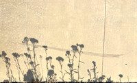 Shadowscape 3