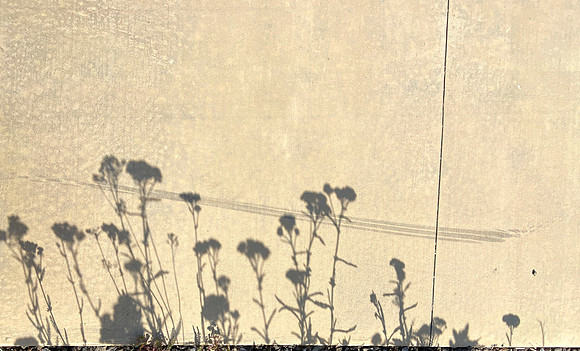 Shadowscape 3