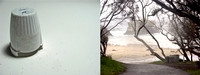 Diptych #4  Natural Bridges State Beach