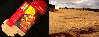 Diptych #7  Natural Bridges State Beach